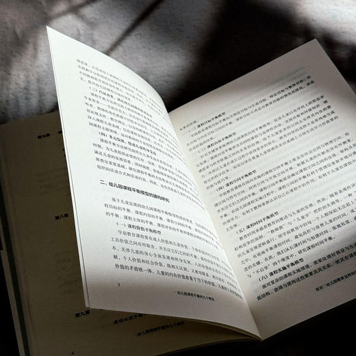 幼儿园课程平衡的九个维度 骆云蕾 吴桂香 课程治理新范式丛书 商品图8