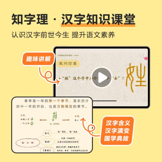 精讲精练 | 轻松写好字·课本同步 商品图5