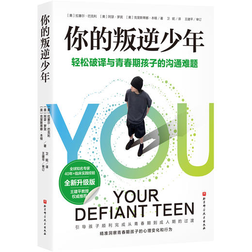 你的叛逆少年 商品图0