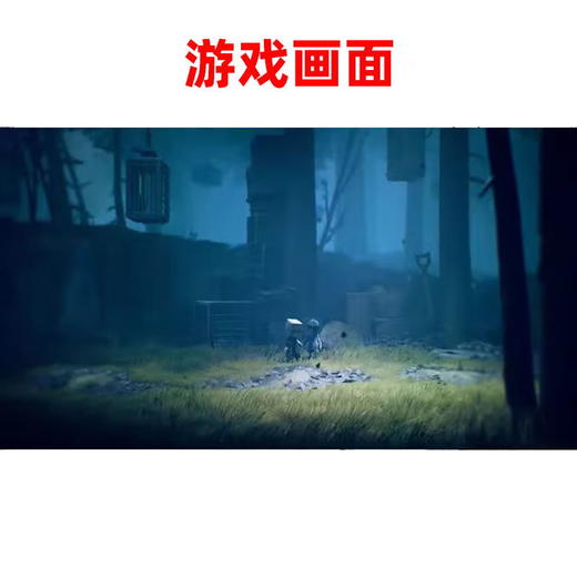 【共享租借】任天堂Switch游戏卡 小小梦魇2 商品图3