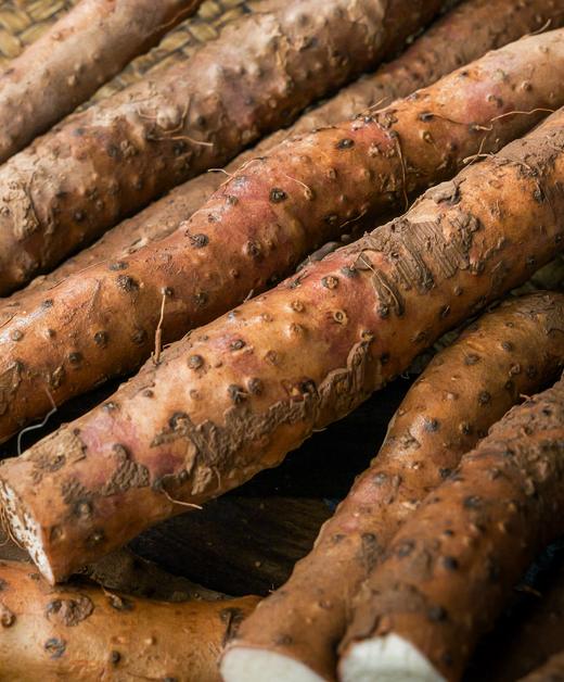 八不用|温县生态铁棍山药|基地直发 商品图3