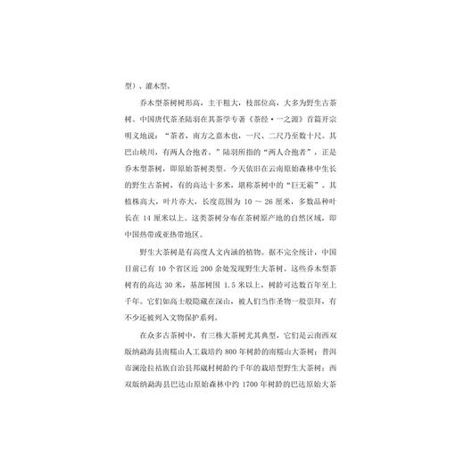 一片叶子落入水中/浮生半盏茶，饮尽江南春/茅盾文学奖得主王旭烽老师最新茶学普及读本/科普茶文化/茶历史 商品图2