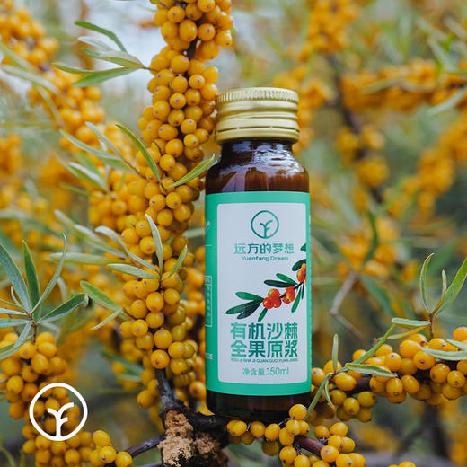 5组(10盒)减100元【内蒙原始主义沙棘原浆 有机原料/有机沙棘全果原浆 保留沙棘本真】补充所需维生素C 商品图4