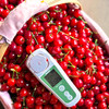 『米易玛瑙红小樱桃1号』肉质软嫩，柔糯多汁，高甜低酸，晶莹剔透，森林露天种植 商品缩略图5