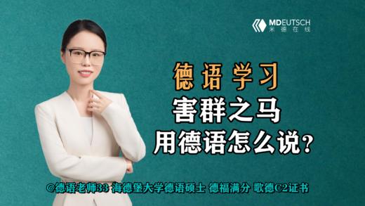 【德语学习】害群之马德语怎么说 商品图0