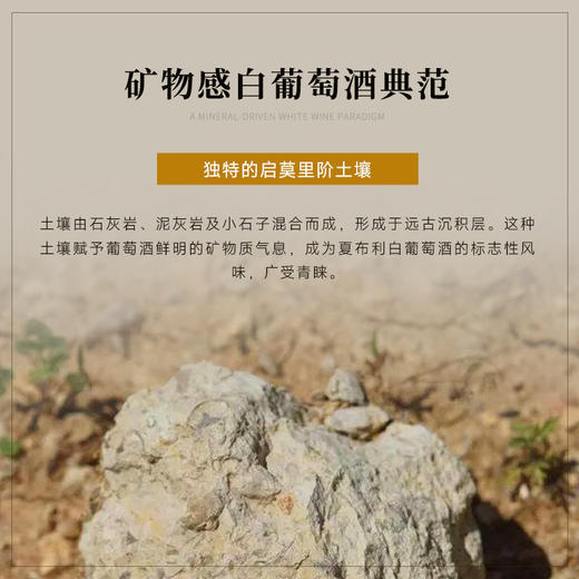 【夏布利一级园】查维勃艮第一级园干白 荣获四大金奖 12月橡木桶陈酿 百年藤木酿造 法国进口 13.5%vol 商品图8