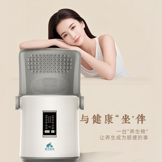 象艾益家 温灸熏蒸坐灸仪 干湿两用 暖身呵护热销 商品图0