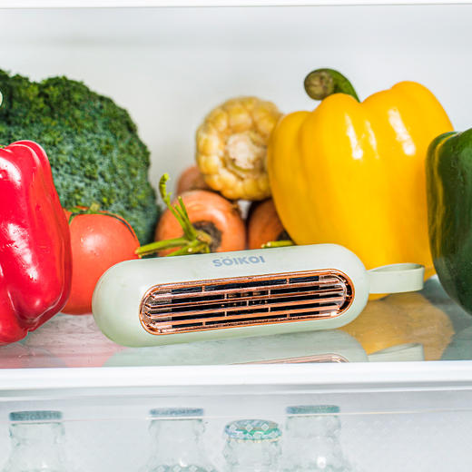 【绮】司崎库冰箱除味器SK-RD106 商品图5