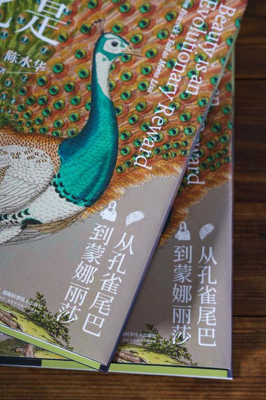 美是进化的奖励：从孔雀尾巴到蒙娜丽莎 | 一部颠覆认知的 “审美进化论”，一场关于生命、艺术和幸福的深度对话 商品图5