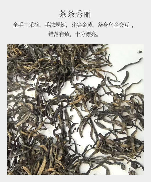 川红君眉 25克 蒙山顶上 四川土种茶树制作 商品图2