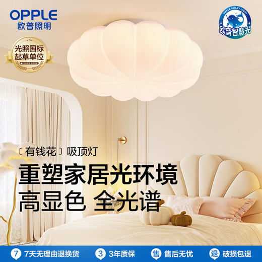 OPPLE欧普照明有钱花卧室奶油风智控儿童房吸顶灯 商品图0