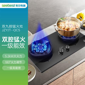 JZYT-QC5 /燃气灶具(双灶)