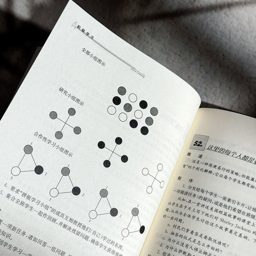 积极学习 101种有效教学策略 创智学习基础教育改革丛书 商品图12