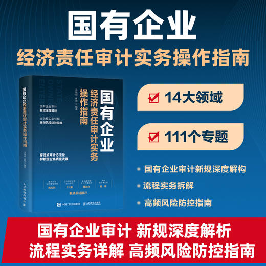 国有企业经济责任审计实务操作指南 审计人员技巧案例实务拆解详解实操案头指南工具书籍 商品图0