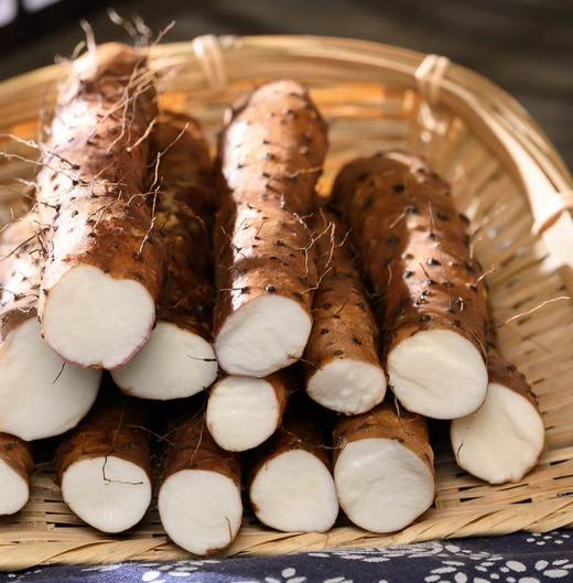 八不用|温县生态铁棍山药|基地直发 商品图0