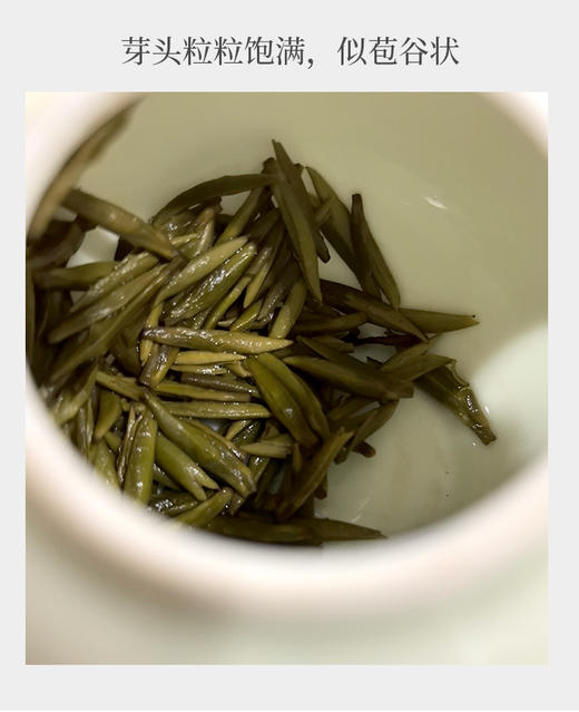蒙顶黄芽 25克装 蒙山顶山头采小米芽 商品图2