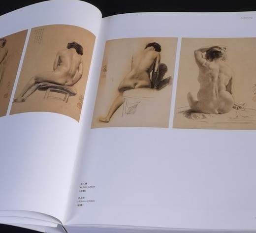 中国艺术大师三种：《傅抱石》《徐悲鸿》《黄胄》，8开，陈传席、郑闻慧著，河北美术出版社2009年一版一印，每册约260页，每册定价180，售价：68元，品相9成-95成。 商品图4