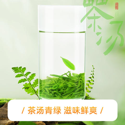 【2026新茶】恩施玉露春茶明前一级优选高山含硒非遗蒸青绿茶100g罐装 CM 商品图3