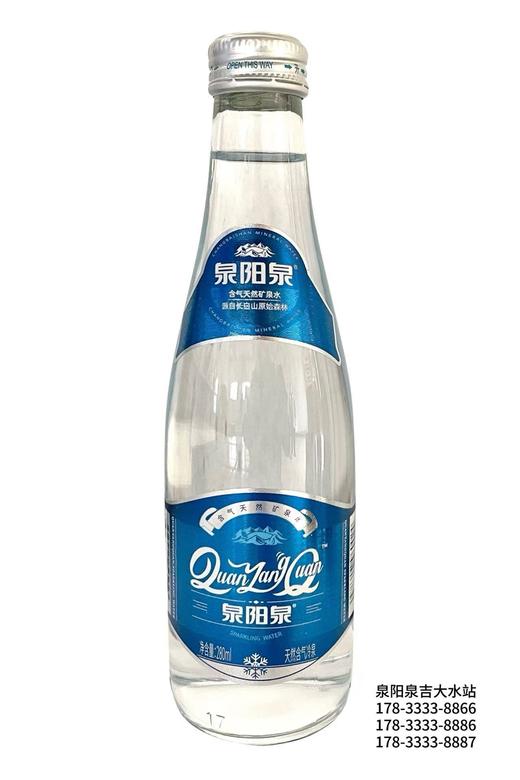 泉阳泉含气天然矿泉水280ml*15同源二氧化碳 商品图1