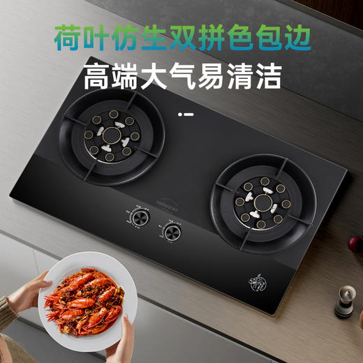 JZYT-QC5 /燃气灶具(双灶) 商品图6