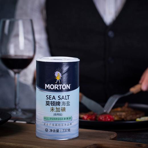 737g莫顿牌未加碘海盐 颗粒均匀 未加碘 商品图0