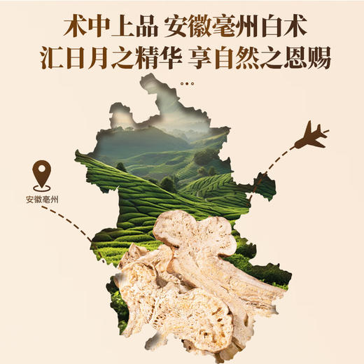 神农金康 白术100g  原生态真滋补 喝护家人健康 商品图5