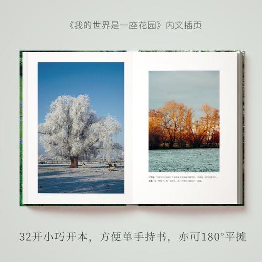 我的世界是一座花园 蒙提·唐的四季自然笔记 商品图2