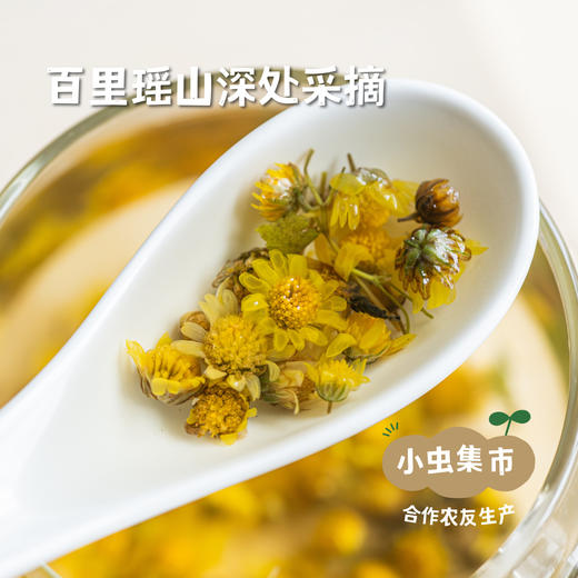 瑶山野菊花 50g/袋 | 合作农友生产，来自广东连南瑶族自治县，生产者：张运东 ＆【公平贸易农人定价】 商品图1