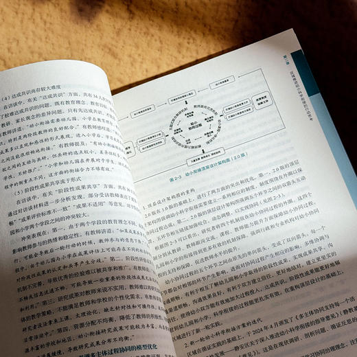 区域推进幼小科学衔接的机制创新 孙忠 迈向高质量的幼小衔接丛书 商品图13