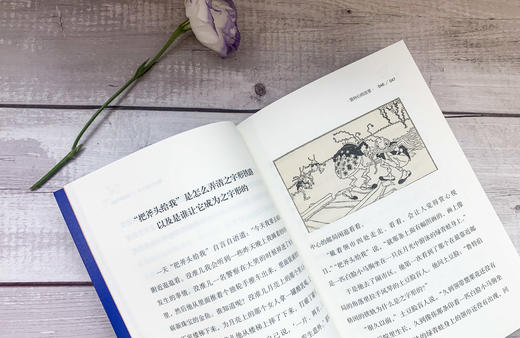 2册 大作家小童书 英雄艾凡赫+鲁特伯格故事 珍藏图本 商品图6