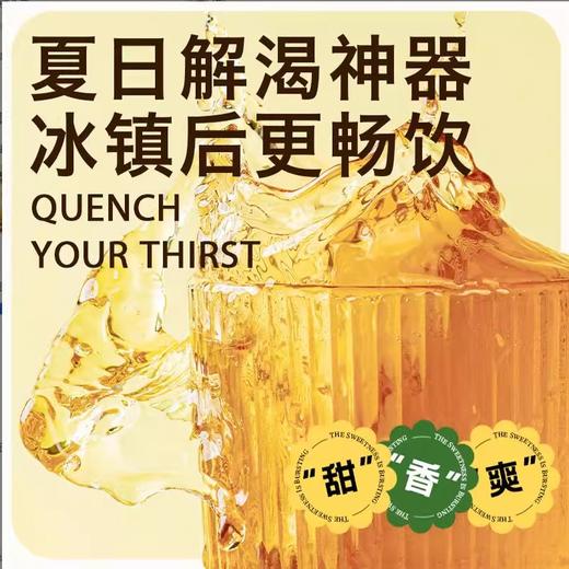 疆小来·杏干茶 310ml*6  果实饱满 果香浓郁 商品图3