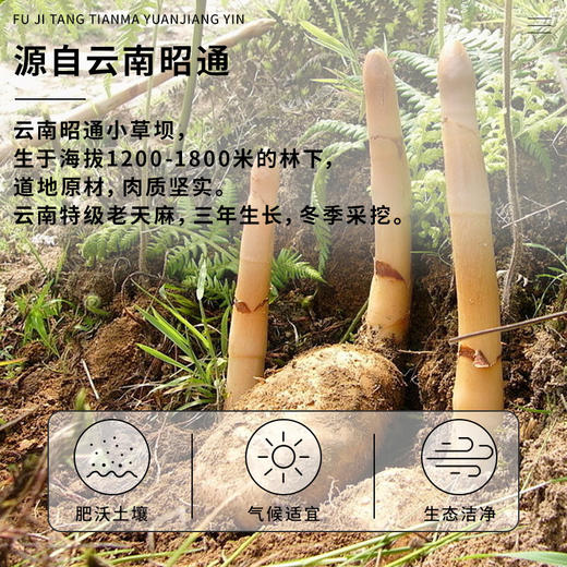 【绮】茯济堂 天麻原浆饮300ML 商品图1