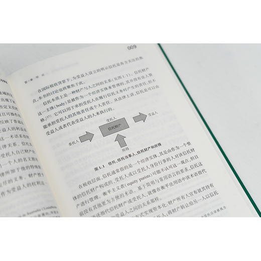 信托所得的跨境征税：原则、筹划与安排 商品图2