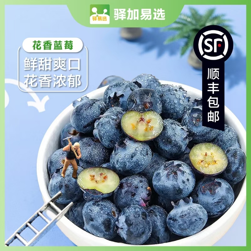 【甄选】【顺丰包邮】花香蓝莓 颗颗饱满 花香浓郁 脆嫩清甜 一口爆浆 富含花青素 九甜一酸超好吃 护眼好搭档 现采现摘 产地新鲜直发 顺丰空运直达