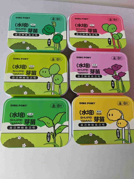 指尖种物—水培芽苗（果汁味软糖） 商品图0