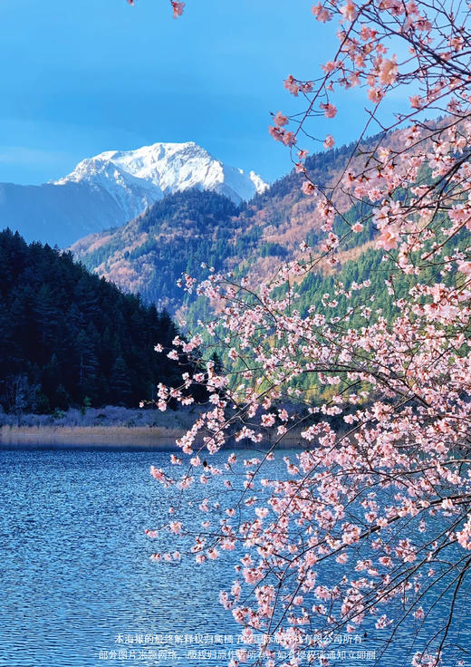 【纯玩全景】四川双动五天游 商品图1