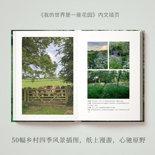 我的世界是一座花园 蒙提·唐的四季自然笔记 商品图1