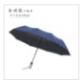 藏蓝伞 商品图0