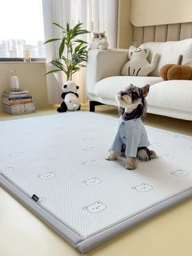 【升级款科技凉感】 A类抗菌多功能垫地垫 按摩豆豆加厚海绵凉席地垫