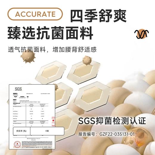 BKT人体工学护腰坐姿椅 一体承托护腰减压 呵护脊椎端正体态 商品图7