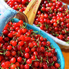 『米易玛瑙红小樱桃1号』肉质软嫩，柔糯多汁，高甜低酸，晶莹剔透，森林露天种植 商品缩略图7