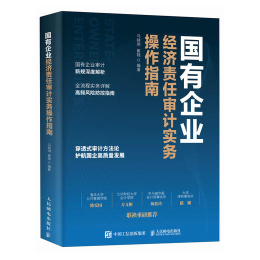 国有企业经济责任审计实务操作指南 审计人员技巧案例实务拆解详解实操案头指南工具书籍 商品图4