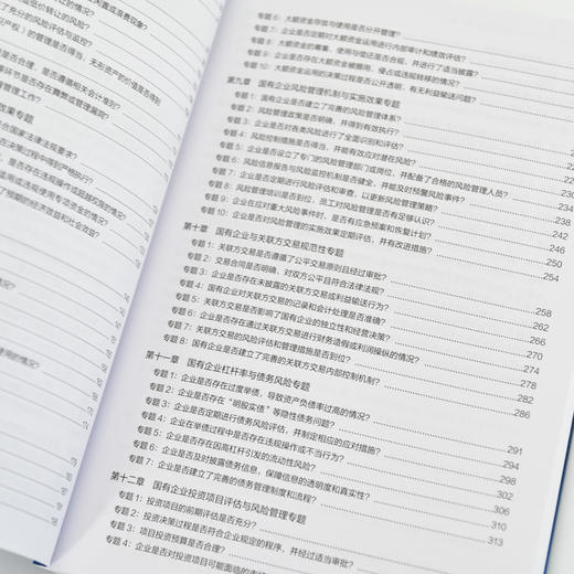 国有企业经济责任审计实务操作指南 审计人员技巧案例实务拆解详解实操案头指南工具书籍 商品图3