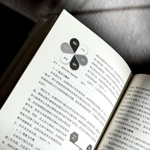 幼儿园课程平衡的九个维度 骆云蕾 吴桂香 课程治理新范式丛书 商品图13