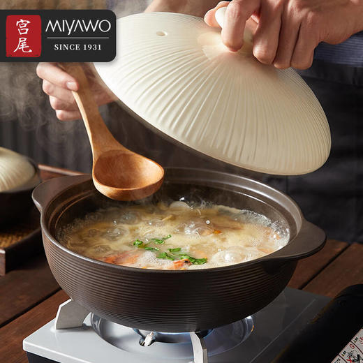 日本宫尾砂锅炖锅 对生活的热爱藏在这一口锅里 商品图2