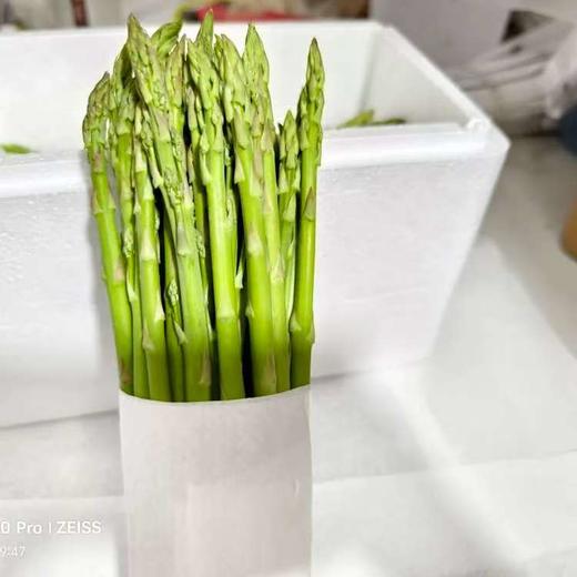 合作产品/  生态露天绿芦笋（下单后3-6天排单发货） 商品图2