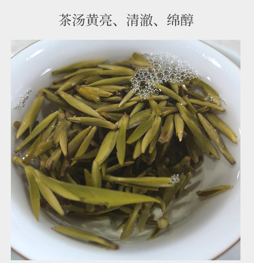 蒙顶黄芽 25克装 蒙山顶山头采小米芽 商品图7