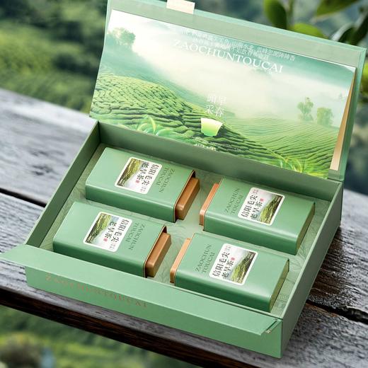 頭採老旱茶【绿.4听毛尖】30元1套.整箱16套 商品图1