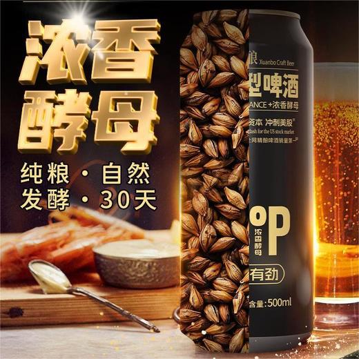 【轩博 精酿浓香型啤酒】13°P黄金麦汁浓度 德国百年纯酿工艺 28天慢发酵 纯粮精酿绵密醇厚 商品图1