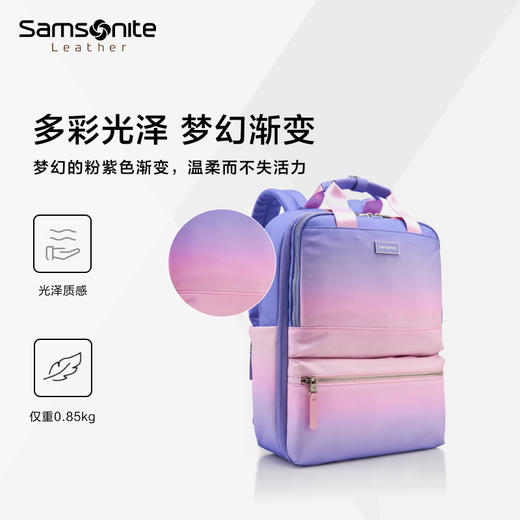 新秀丽新款耐磨防泼溅 通勤休闲 优雅女士双肩包NO0*001 商品图5